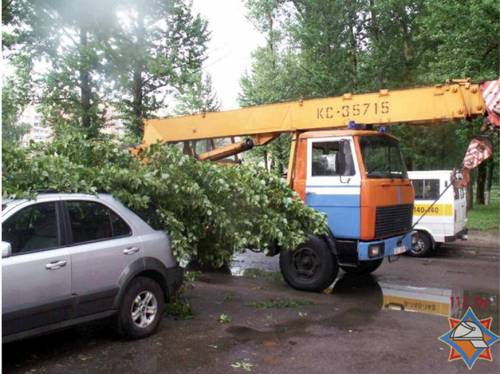 В Калуге на видео попал момент падения дерева на машины