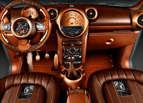 Mini Countryman Steampunk